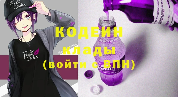 хмурый Бородино